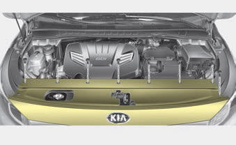 Kia Carnival: Front light bulb replacement Kia Carnival: Front light bulb replacement.