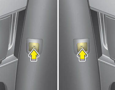 Kia Carnival: Power sliding door operation Kia Carnival: Power sliding door operation.